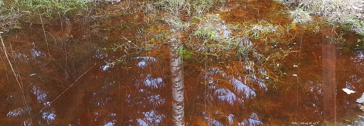 De la neige à demi fondue laisse apparaître l'herbe et le sol détrempé le long d'un chemin.