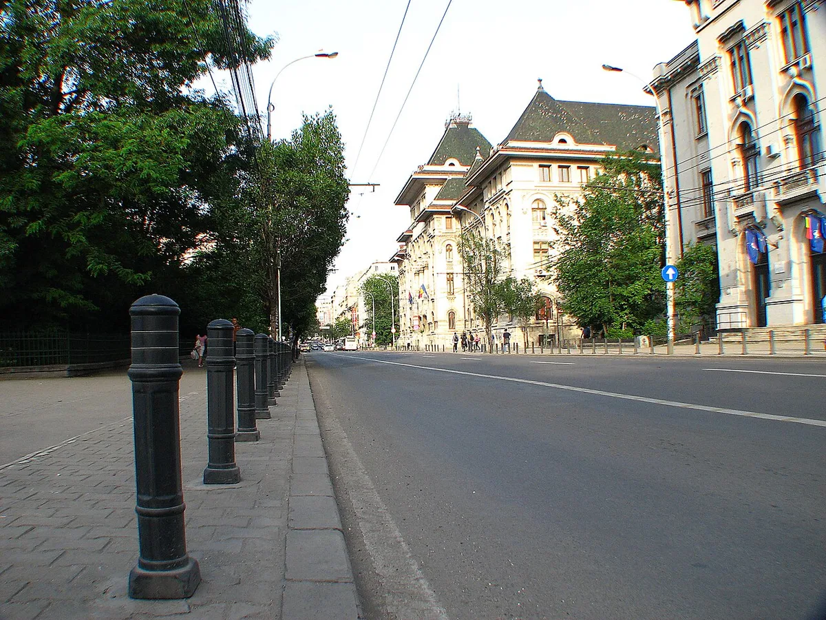 Un boulevard bordé d'arbres entièrement désert un dimanche, sans voiture ni passant.